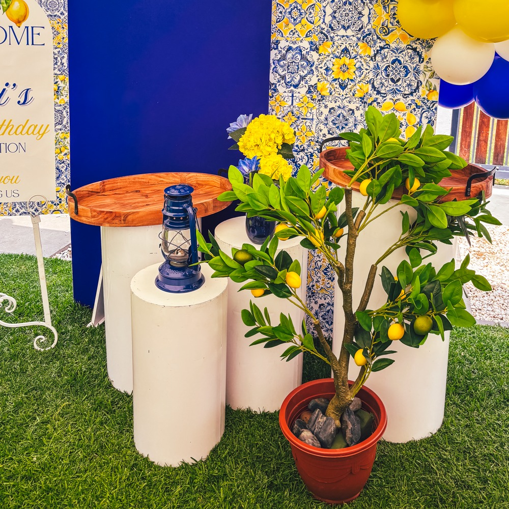 | AMALFI COAST PARTY |

#amalficoast #italy #italiano #lemontree #lemons #italianfood #eventstyling #backdrop #balloons #eventdecor #eventsylist #boksomdaais
