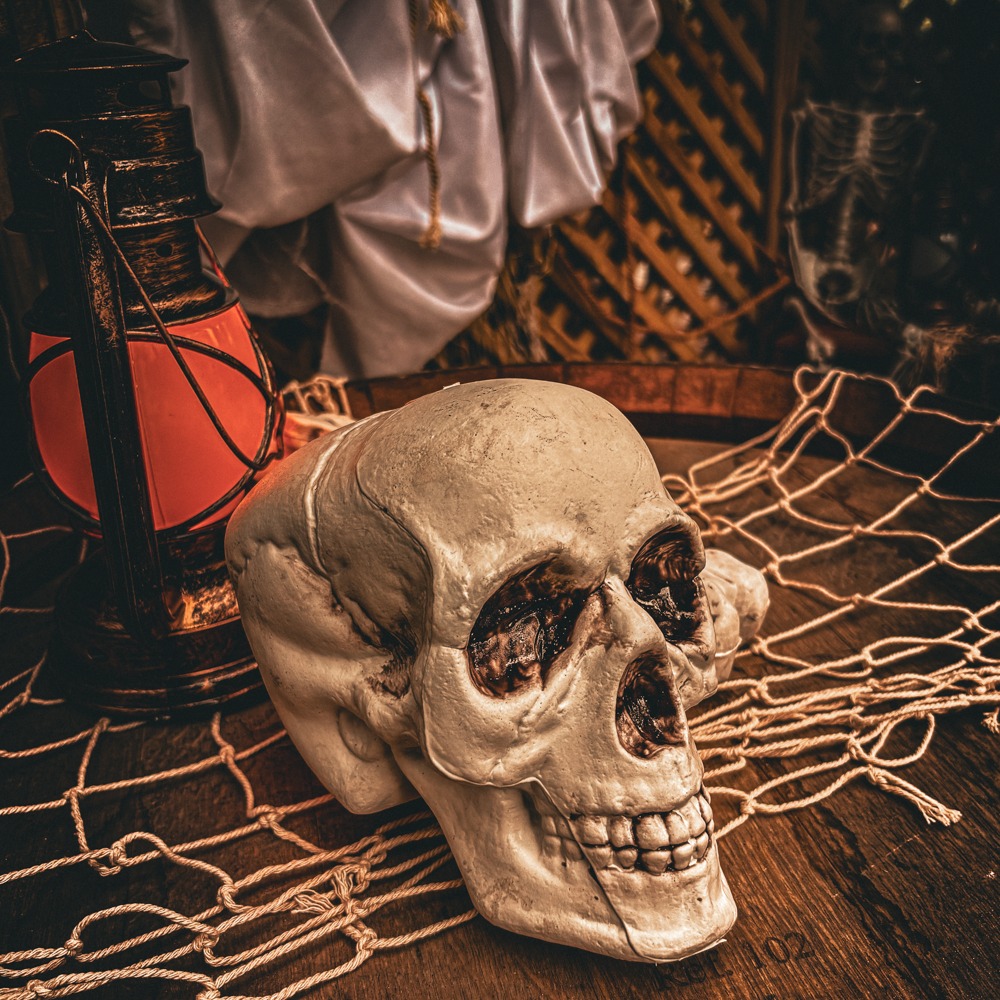 | PIRATE BACHELORETTE PARTY |

#lastsailbeforetheveil #pirate #pirates #bachelorette #bridalshower #boksomdaais #eventstyling #eventstylist #eventhire #gauteng #skull #skullandcrossbones